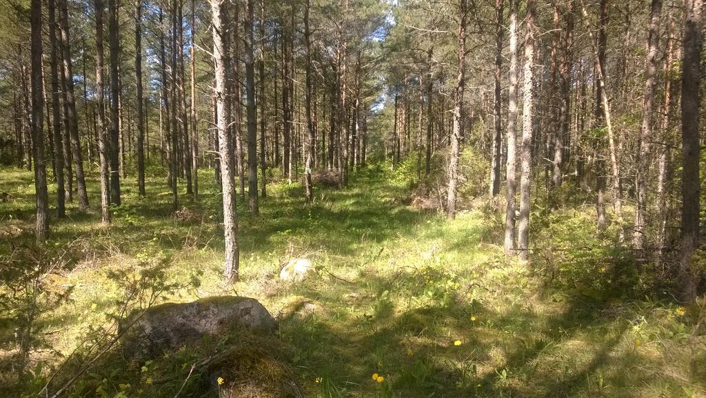 Nature Getaway Holiday Home Mujaste 外观 照片